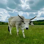 Kékmadaras Vendégház 4*