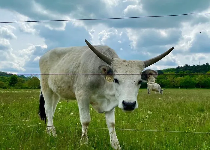 Kekmadaras Vendeghaz Gasthof 4*