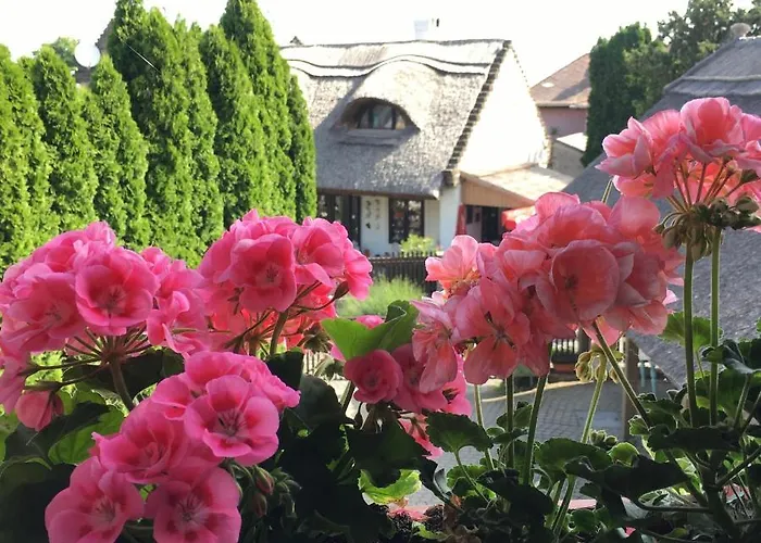 Kekmadaras Vendeghaz