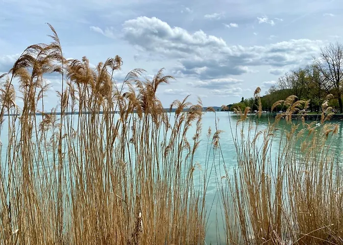 Kekmadaras Vendeghaz Gasthof 4*